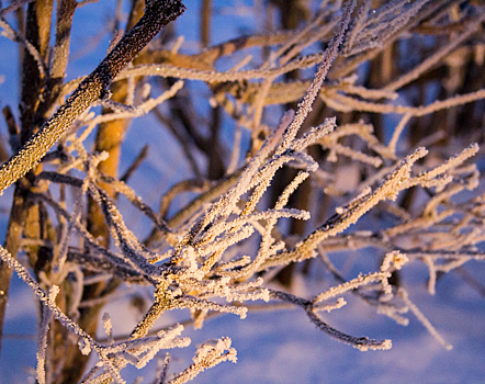 Морозный разброс: разница температур в Кузбассе составила 10 градусов