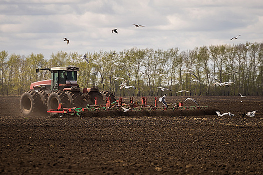 Летнее тепло в Новосибирске начнет приближаться в Евсеев день 7 мая
