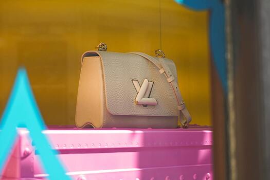 Россиянка заказала палёный Louis Vuitton и попала под статью