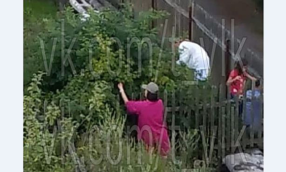 Дети вместе с мамами "ограбили" чужой огород в Подмосковье