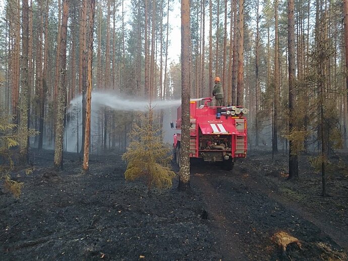 Накануне в Немском лесничестве зарегистрирован лесной пожар