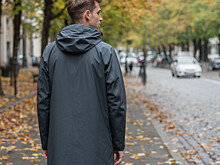 Прогноз погоды в Новгородской области на 29 октября: дожди и температура до +8