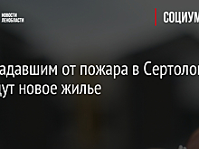 Пострадавшим от пожара в Сертолово выдадут новое жилье