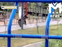 В Енисейске медведь пробежал рядом с детской площадкой и попал на видео