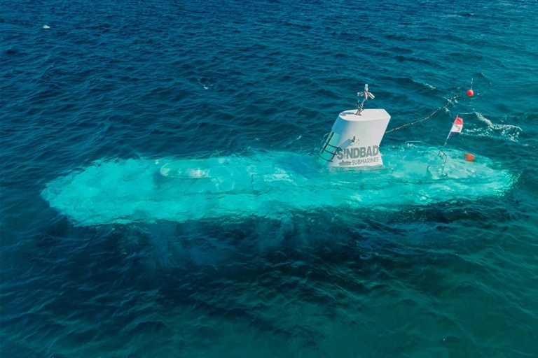 СК РФ возбудил дело в связи с инцидентом с батискафом в Красном море