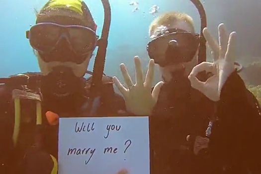 Австралиец сделал девушке предложение на Большом Барьерном рифе