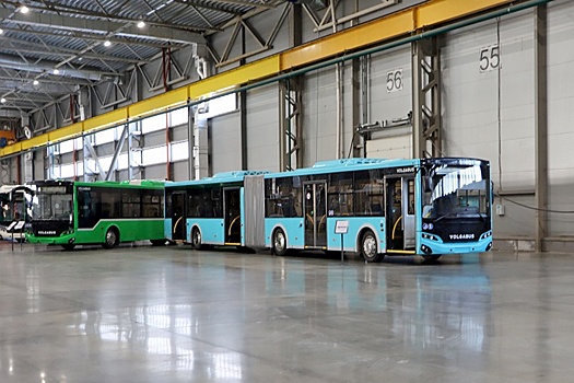 Завод Volgubus изготовил тестовые автобусы-гармошки для Владимира