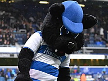 В Англии футбольный клуб уволил кота-маскота за флирт с болельщицами