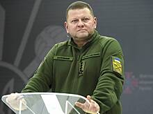 Британский эксперт рассказал о панике после новости об отставке Залужного