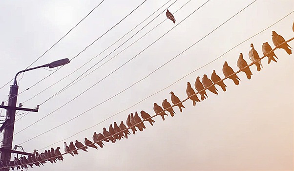 Росавиация выдала авиакомпаниям 500 допусков на рейсы в Болгарию, ОАЭ, Грецию и другие страны