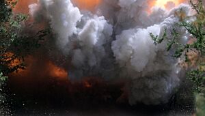Сакс: теракт Киева на аэродромы в РФ был операцией спецслужб Запада