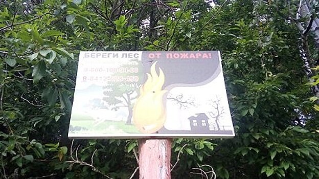 В Пензенской области ограничено посещение лесов