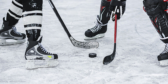 Команда Лукашенко сыграла с хоккейным клубом «Динамо-Минск»