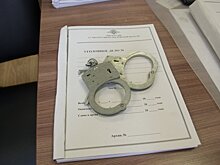 СМИ: правнучка героя СССР Чкалова стала фигуранткой уголовного дела