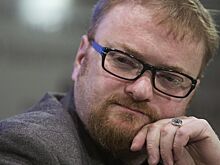 Милонов высказался в защиту хоббихорсеров и квадроберов