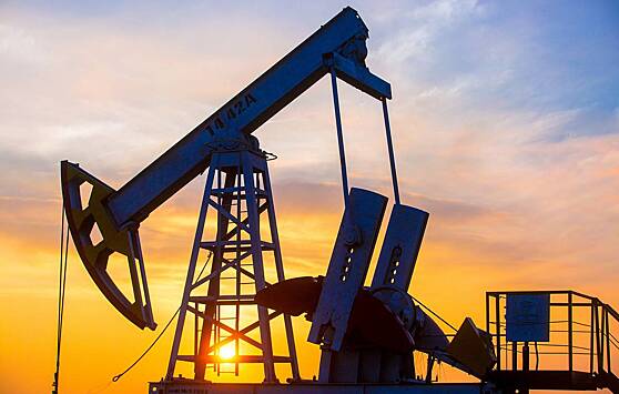 США могут провести новые интервенции из стратегического резерва нефти зимой