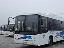В Ростове работа кондиционеров в маршрутном транспорте проверяется мониторинговыми группами