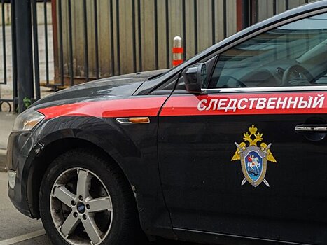 Суд в Бурятии приговорил женщину к 13 годам за убийство двухмесячного сына