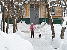 Синоптик предупредила москвичей о заметном потеплении