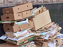 По Женеве прогулялись 8-метровая бабушка и 6-метровая внучка