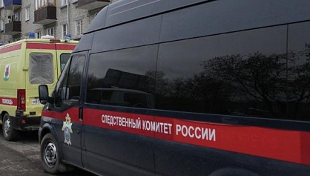 Двое сахалинцев пытали и топили предполагаемого вора окон
