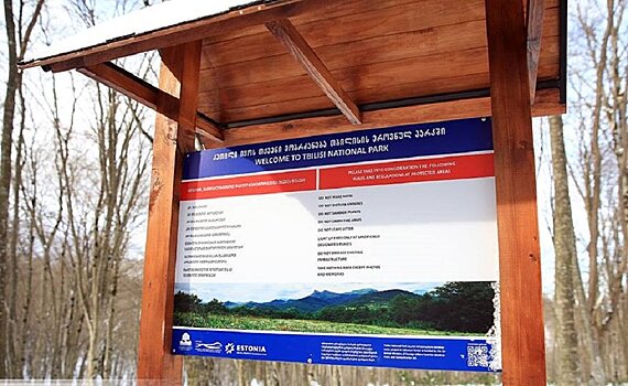 Пикник в лесу Сабадури: Тбилисский Нацпарк готов принять туристов