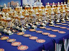 Ученики школы №2005 завоевали две золотые медали на соревнованиях по ММА