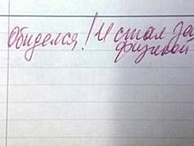 Смешные замечания в школьных дневниках