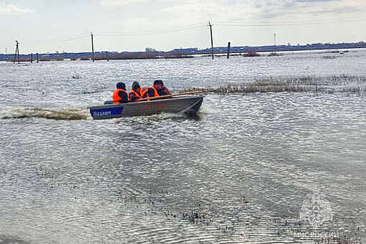 Власти Курганской области объявили режим ЧС регионального уровня из-за паводка