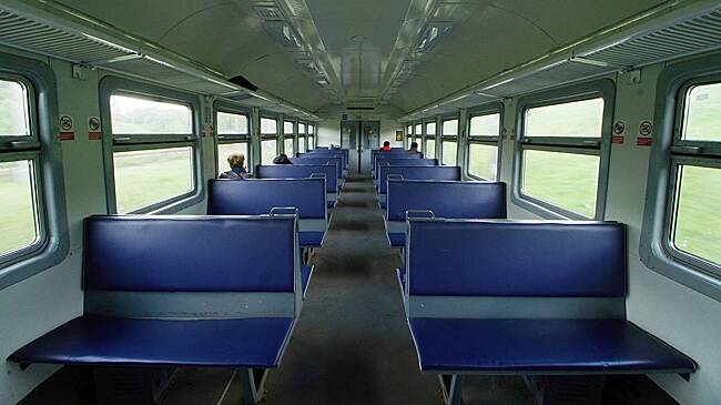 Неизвестные бросили домашних крыс в подмосковной электричке