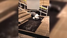 Охранник петрозаводской больницы спустил с лестницы доставленного на скорой пациента