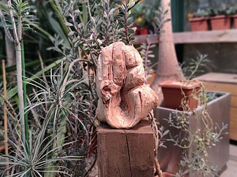 Выставка деревянных скульптур "Эдем" открылась в "Аптекарском огороде"