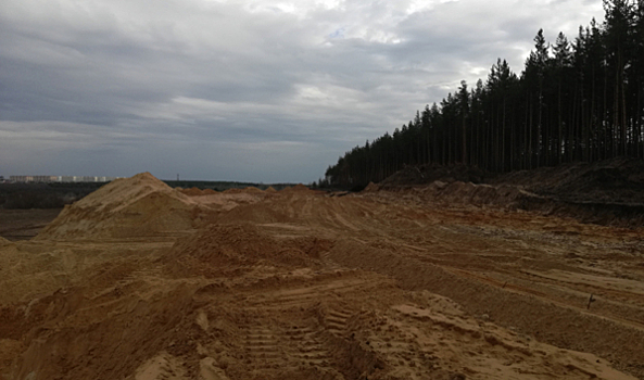 В Воронеже после вмешательства активистов остановили вырубку Малышевского леса