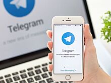 Спортивные telegram-каналы: где читать о спорте, если не в газете и не на сайте?