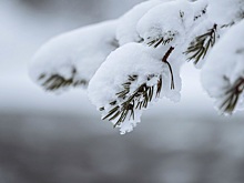 В Новосибирске за три дня выпало почти 2 см снега