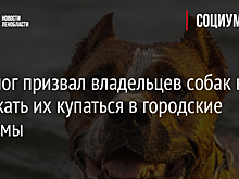 Кинолог призвал владельцев собак не отпускать их купаться в городские водоемы