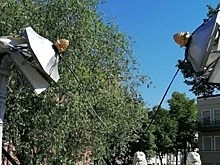 В Петербурге ищут вандалов, погнувших фонари на Львином мосту