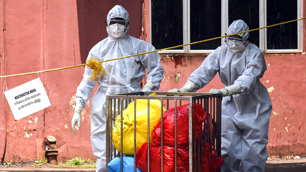 Что известно на данный момент о вспышке страшного вируса Нипах в Индии