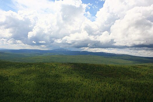 С начала мая в Якутии произошло 10 лесных пожаров