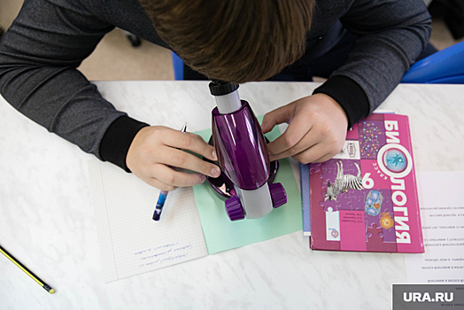 В Кургане ученики обвинили учителя в оскорблении чувств верующих