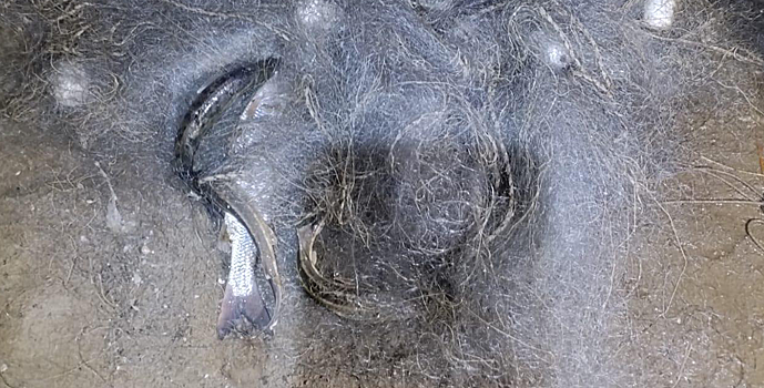 Жителя Владимирской области задержали по делу об осквернении Обелиска Победы