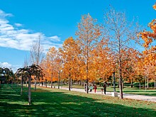 Шесть городов Кубани вошли в рейтинг самых тёплых мест России