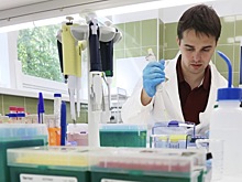 Российские ученые создали материал для применения в гибкой электронике