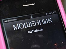 Полицейские работают над новыми методами борьбы с телефонными мошенниками