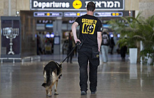 СМИ: все иностранные авиакомпании приостановили рейсы в Израиль