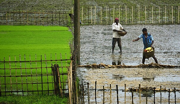 Индия нуждается в обильных дождях для оживления тормозящей экономики