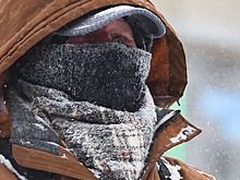 Метель века: как центральная Россия справляется с обрушившимся циклоном «Валли»