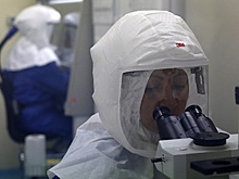 Миру предрекли новую смертельно опасную «Болезнь X»