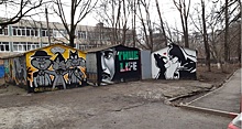 Уличный художник украсил ростовские гаражи