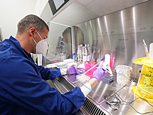 Биологи оценили выводы немецких ученых о последствиях коронавируса для глаз